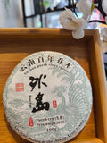 Pu-erh sheng - Bing dao qiaomu 2018