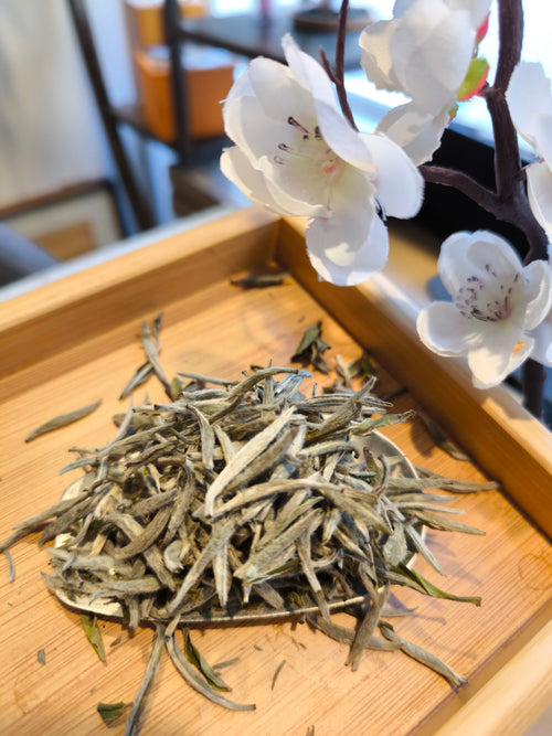 Bai hao ying zhen - Panxi - 2025